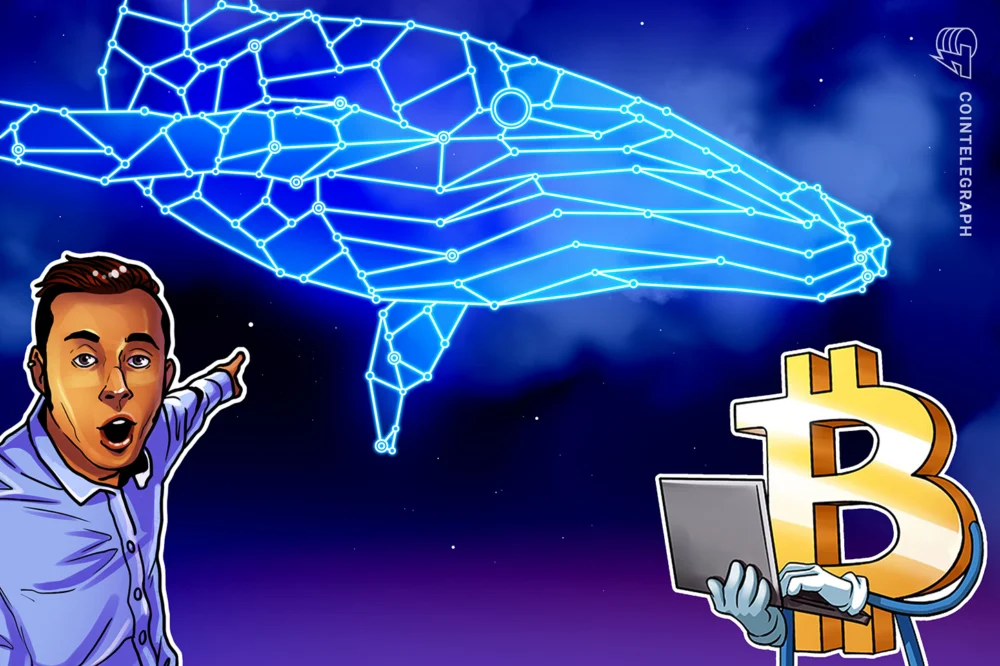 Bitcoin Whales Resume Accumulation Amidst $71,000 Price Stability, Signaling Potential Market Reversal